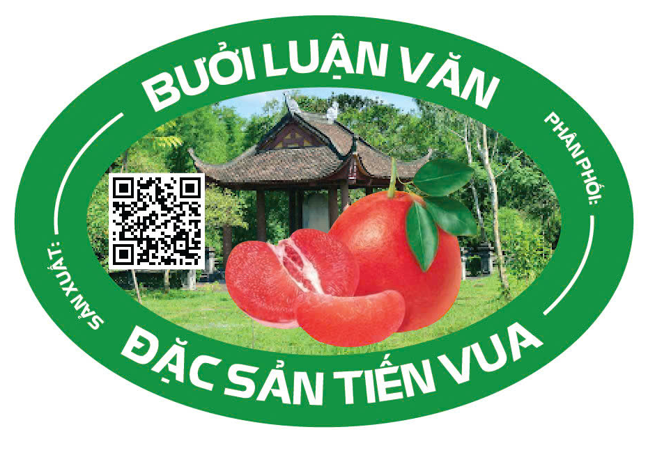 Bưởi Luận Văn